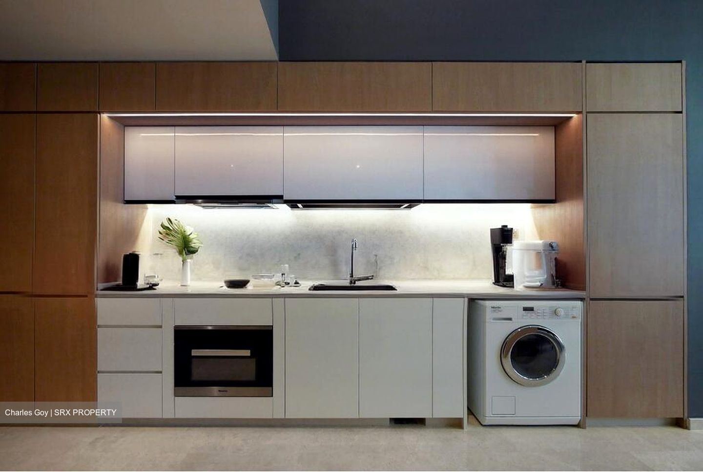 Mon Jervois (D10), Condominium #516939471